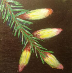 8 januari Nieuwjaarsdrive